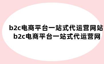 b2c电商平台一站式代运营网站 b2c电商平台一站式代运营网站是什么